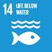 Development goals