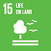 Development goals