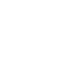 Play icon